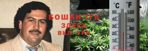 бошки Богородицк