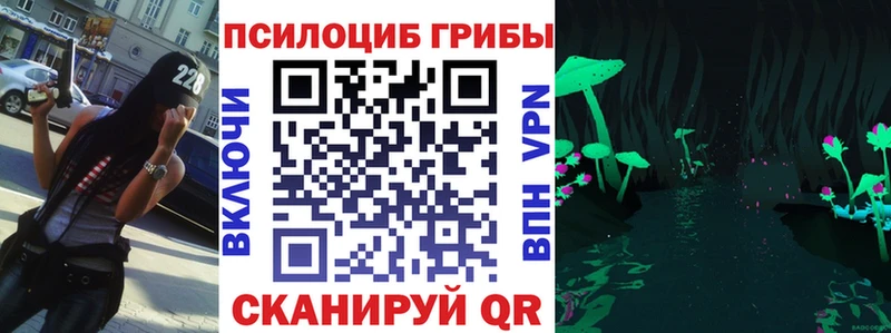 Псилоцибиновые грибы Psilocybine cubensis  Михайловка 